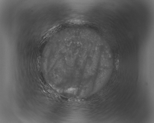 X0000085081397200703261246