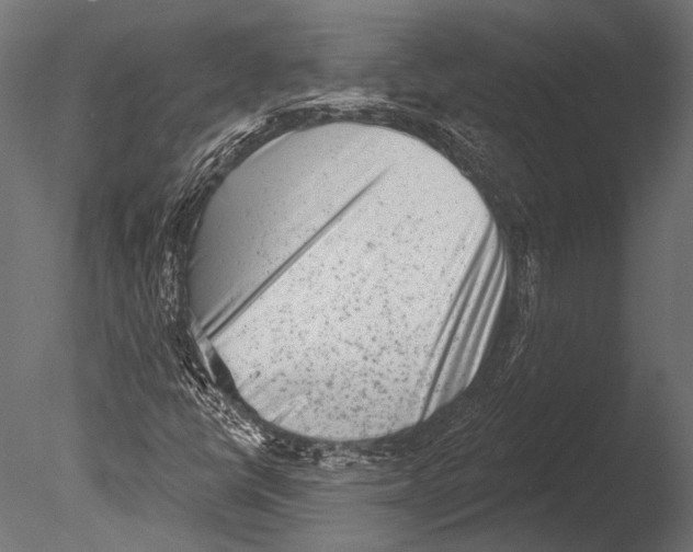 X0000085081398200703261246