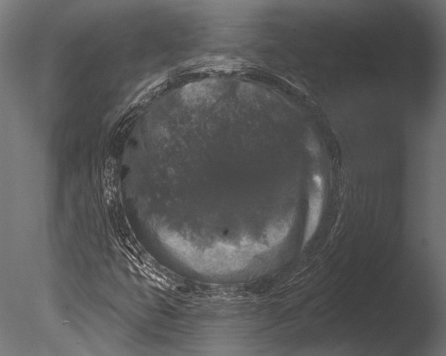 X0000085081399200703261246