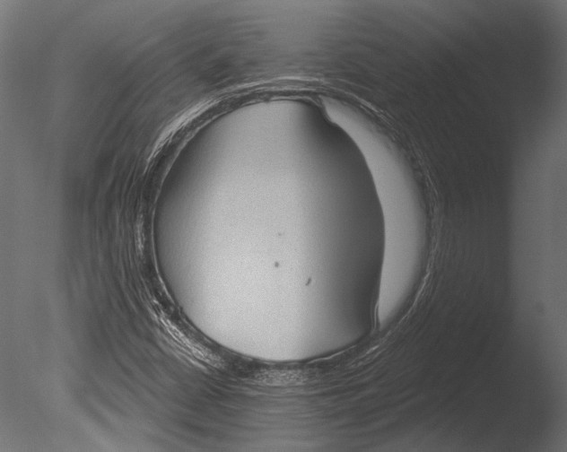 X0000085081402200703261246