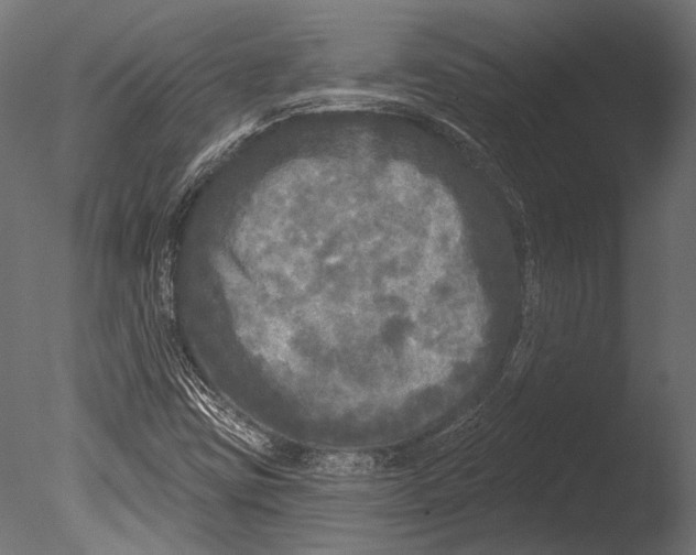 X0000085081403200703261246