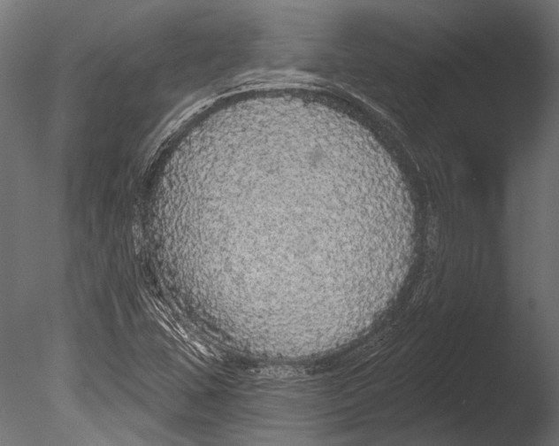 X0000085081407200703261246