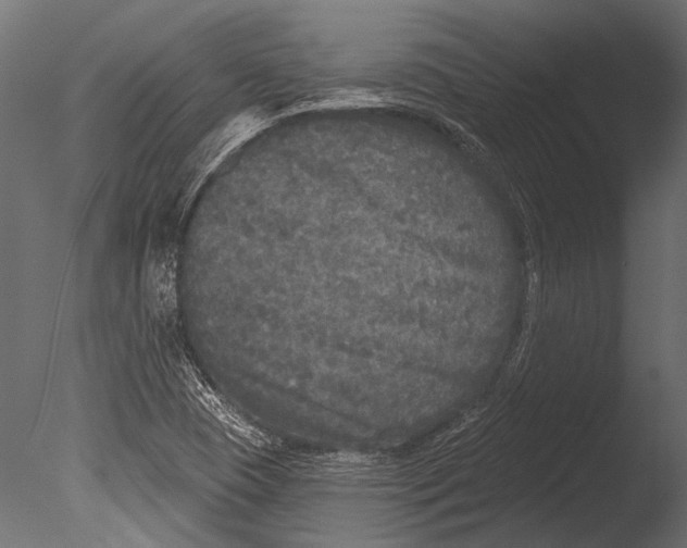 X0000085081409200703261246