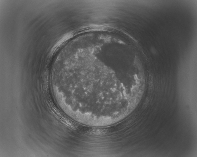 X0000085081411200703261246