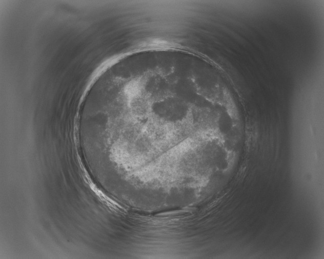 X0000085081421200703261246