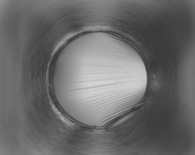 X0000085081422200703261246