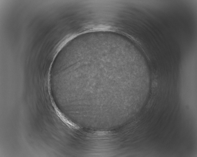 X0000085081423200703261246