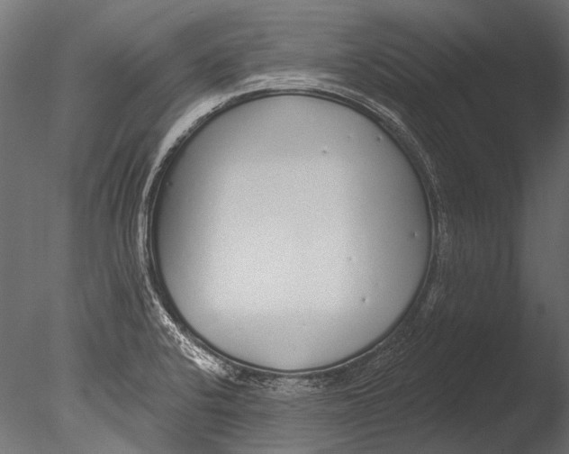 X0000085081424200703261246