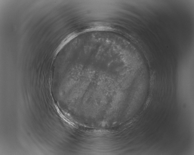 X0000085081425200703261246