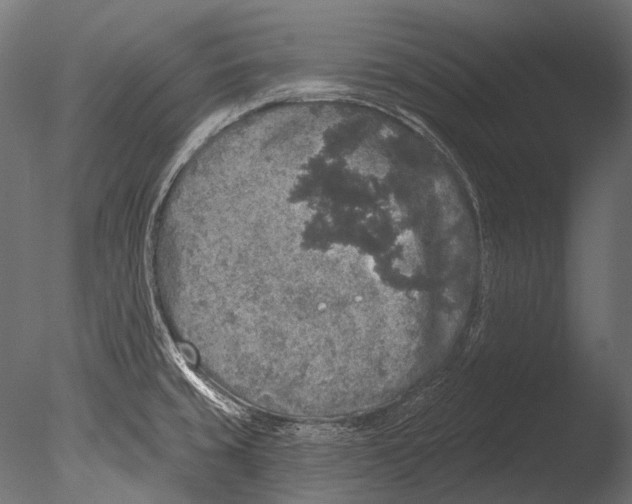 X0000085081429200703261246