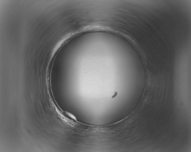 X0000085081430200703261246