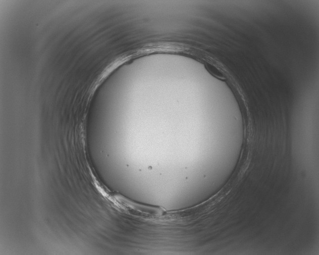 X0000085081433200703261246