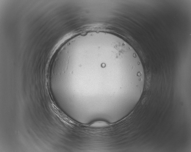 X0000085081435200703261246