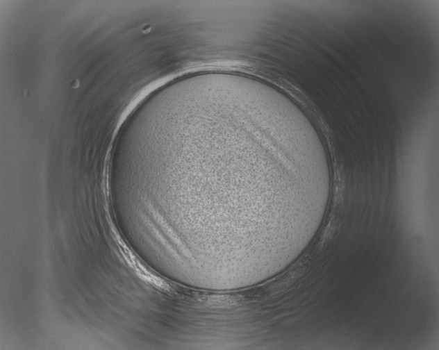 X0000085081436200703261246