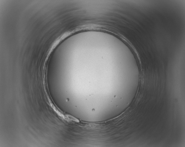 X0000085081437200703261246