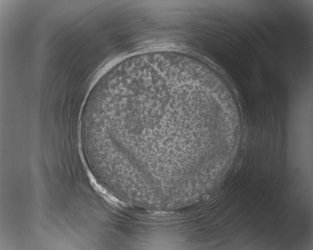 X0000085081439200703261246