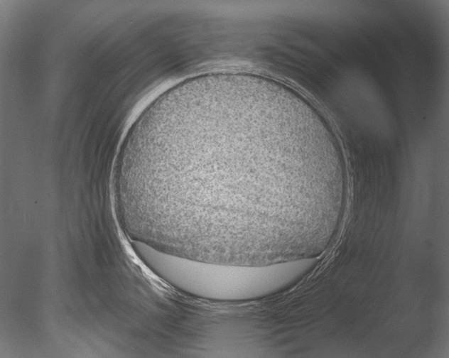 X0000085081440200703261246