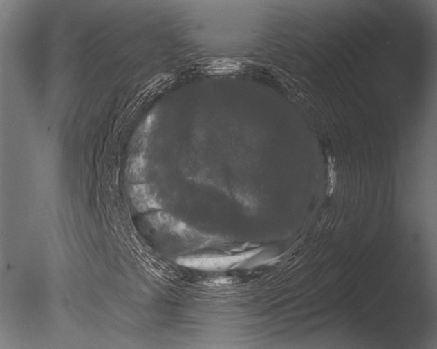 X0000085081441200703261245