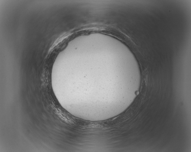 X0000085081448200703261245