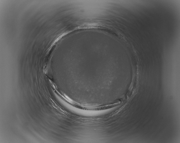 X0000085081449200703261245