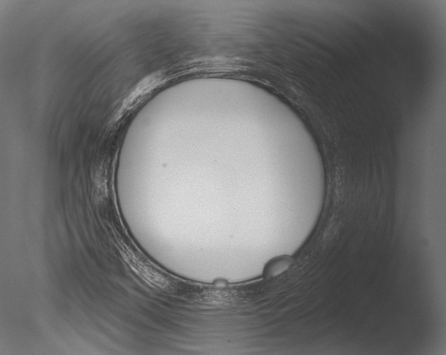 X0000085081451200703261245