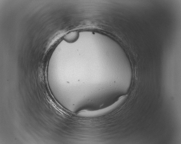 X0000085081452200703261245