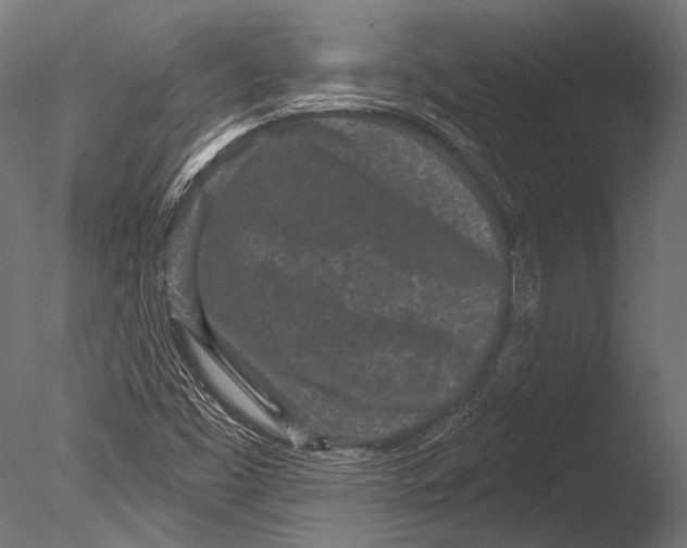 X0000085081453200703261245