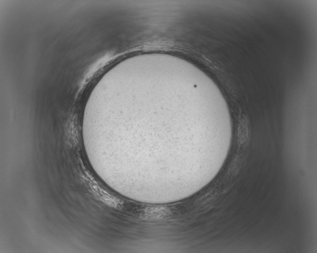 X0000085081454200703261245