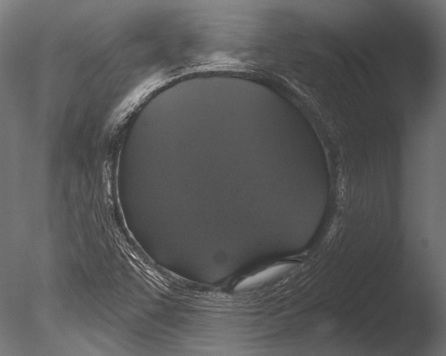 X0000085081455200703261245