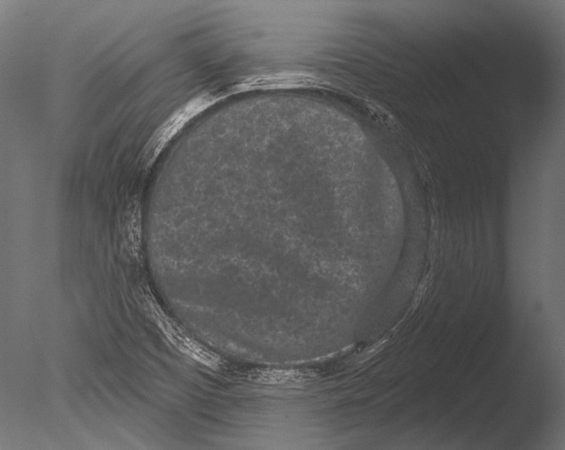 X0000085081457200703261245