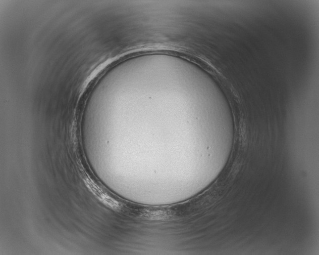 X0000085081460200703261245