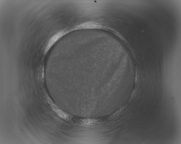 X0000085081461200703261245