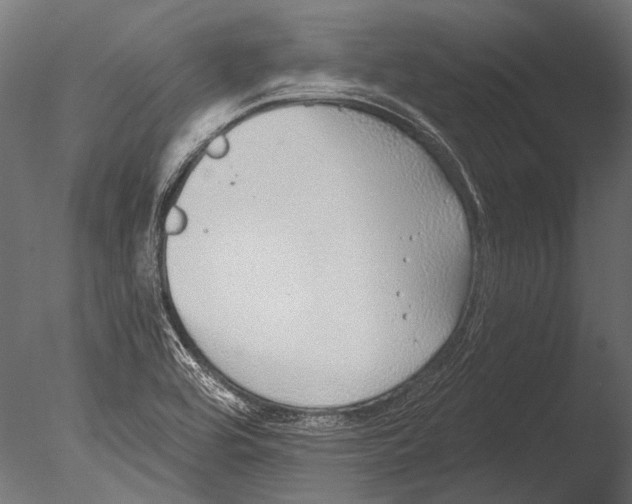 X0000085081464200703261245