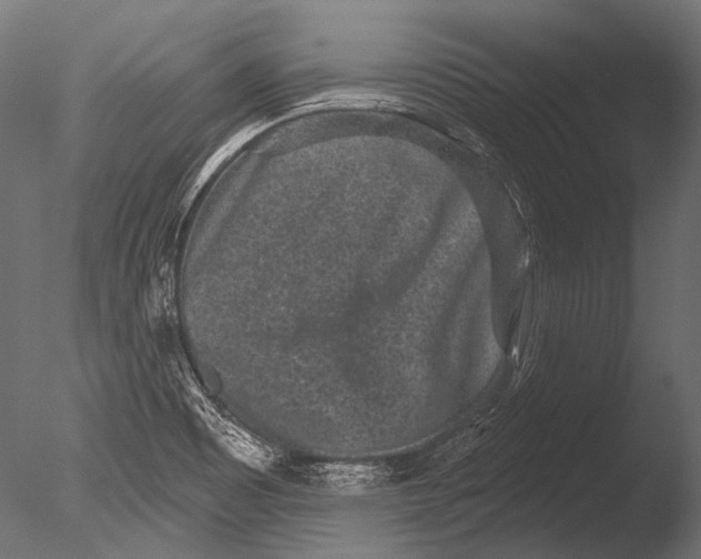 X0000085081465200703261245