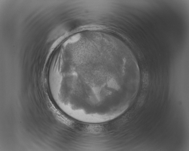 X0000085081466200703261245