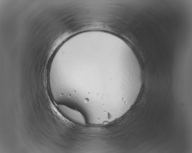 X0000085081468200703261245