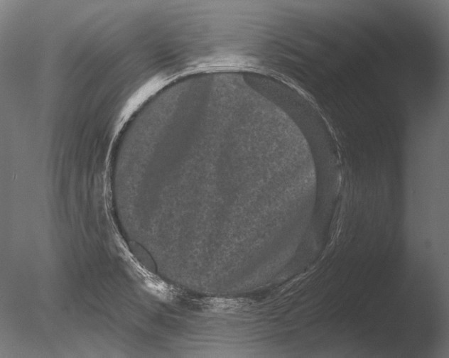 X0000085081469200703261245