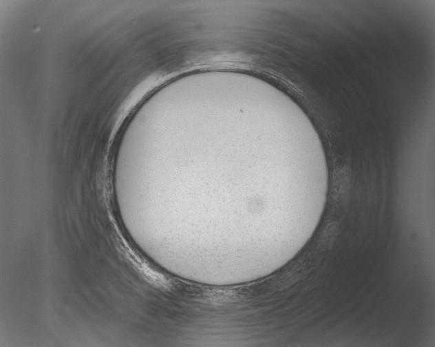 X0000085081470200703261245