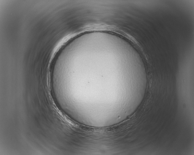 X0000085081472200703261245