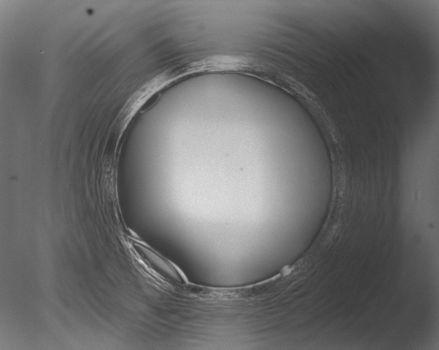 X0000085081473200703261245