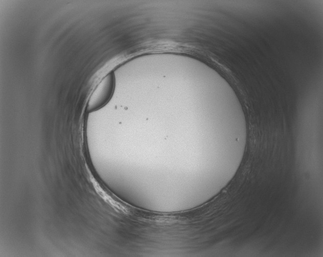 X0000085081479200703261245