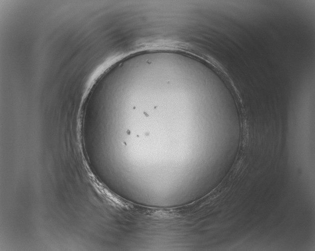 X0000085081480200703261245