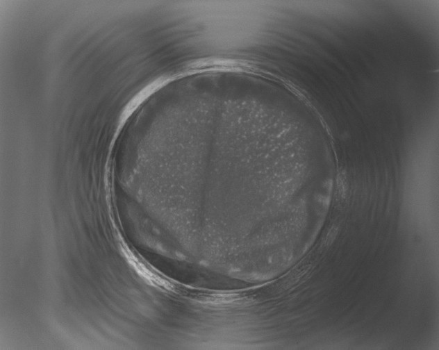 X0000085081482200703261245