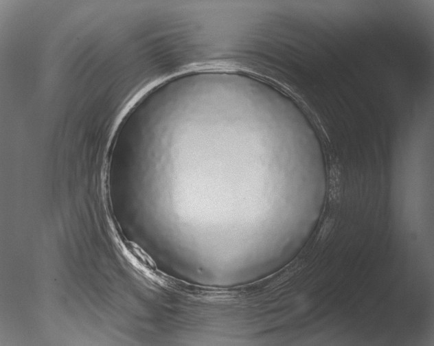 X0000085081484200703261245