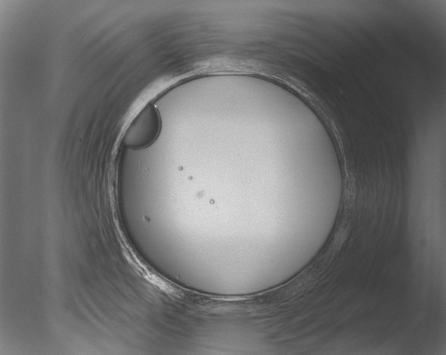 X0000085081486200703261245