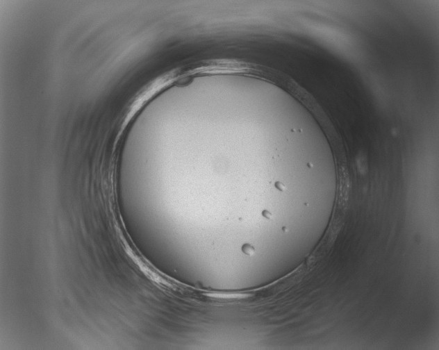 X0000085081487200703261245