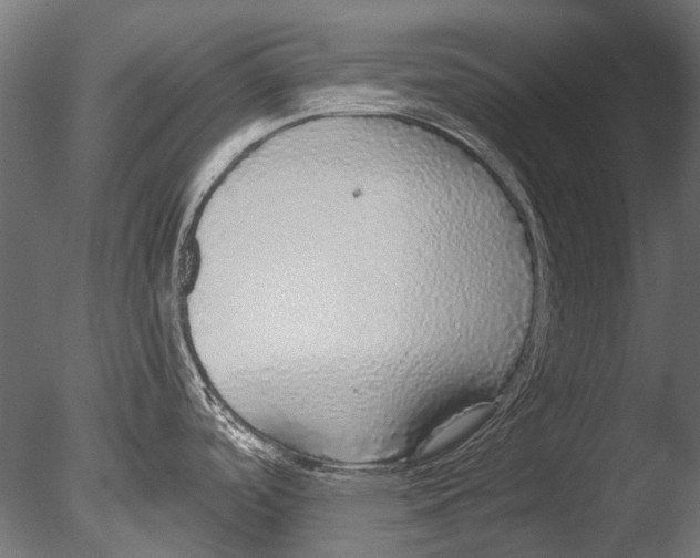 X0000085081488200703261245