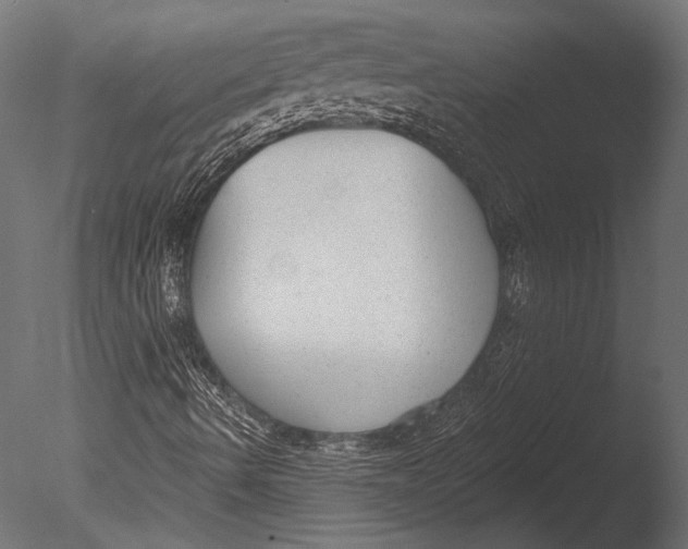 X0000085081490200703261244