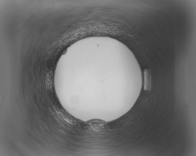 X0000085081491200703261244