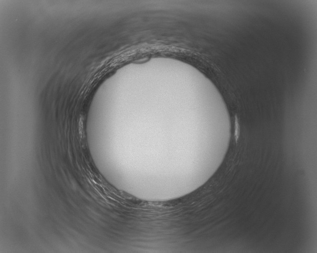 X0000085081492200703261244